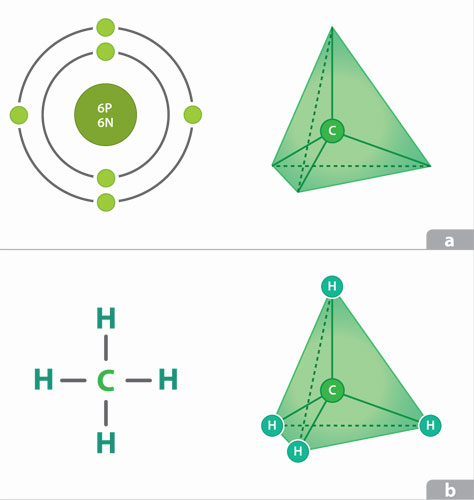 Esquema de carbono y metano