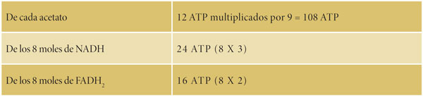 Tabla 5