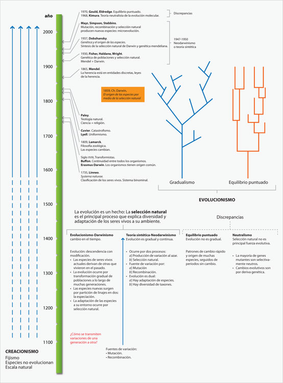 Evolucionismo