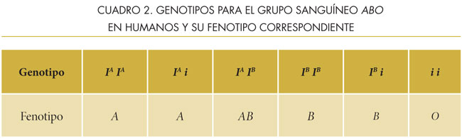 Tabla 4