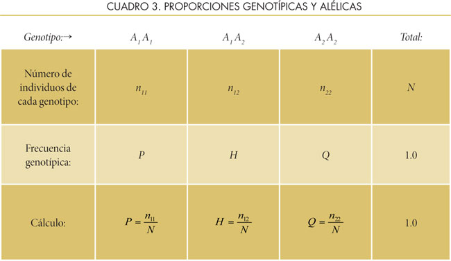 Tabla 5