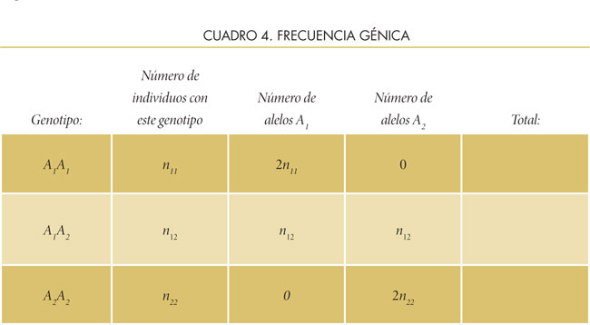 Tabla 6