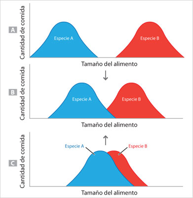 Superposición de nichos