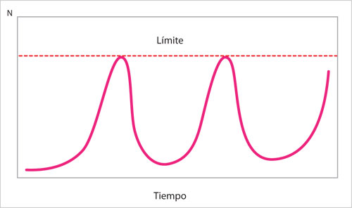 Ciclos de crecimiento