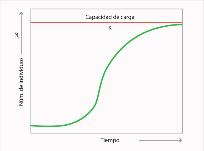 Módelo de crecimiento