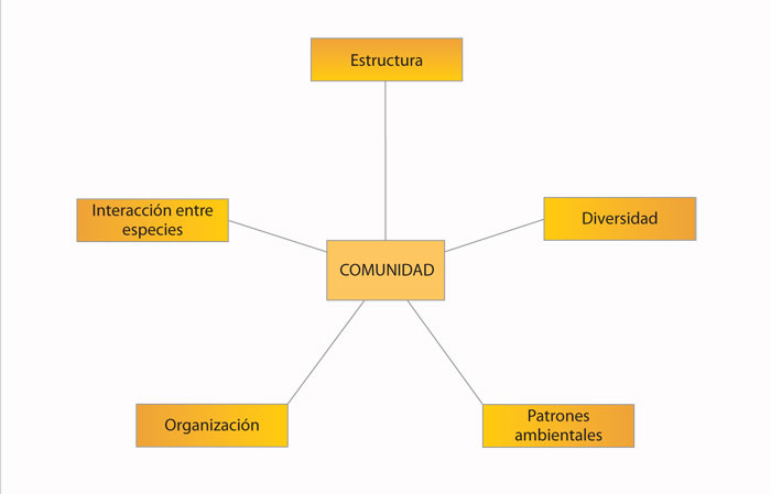 Características de una comunidad