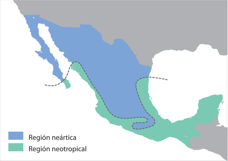 Regiones biogeográficas 2
