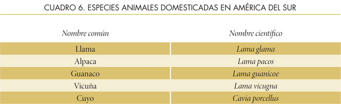 Tabla 7