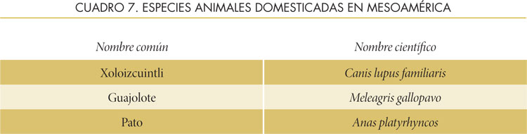 Tabla 8