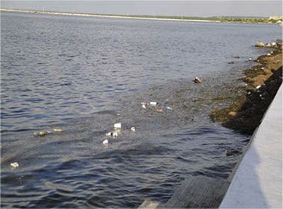 Arriba, imagen de topofilia (París); abajo, imagen de topofobia (playa contaminada en Campeche)<br />© Álvaro Sánchez Crispín.