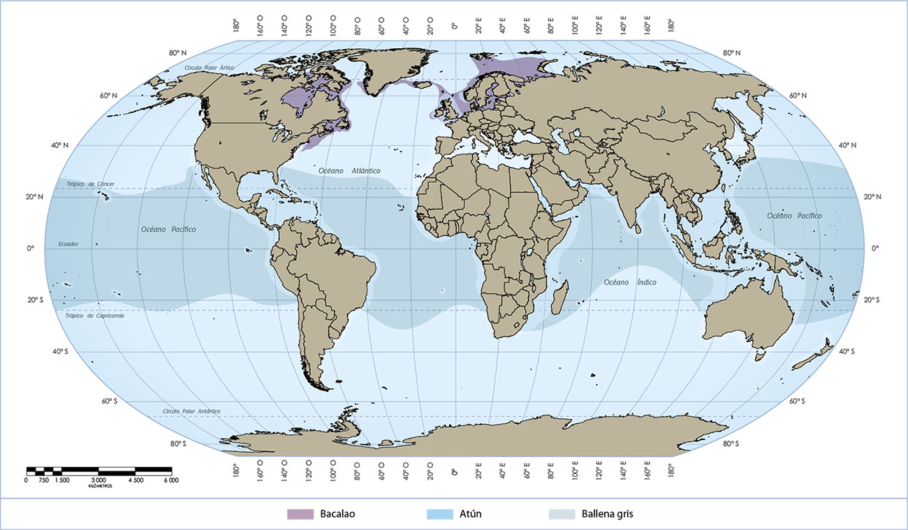  Distribución de tres especies pesqueras de alto valor comercial.