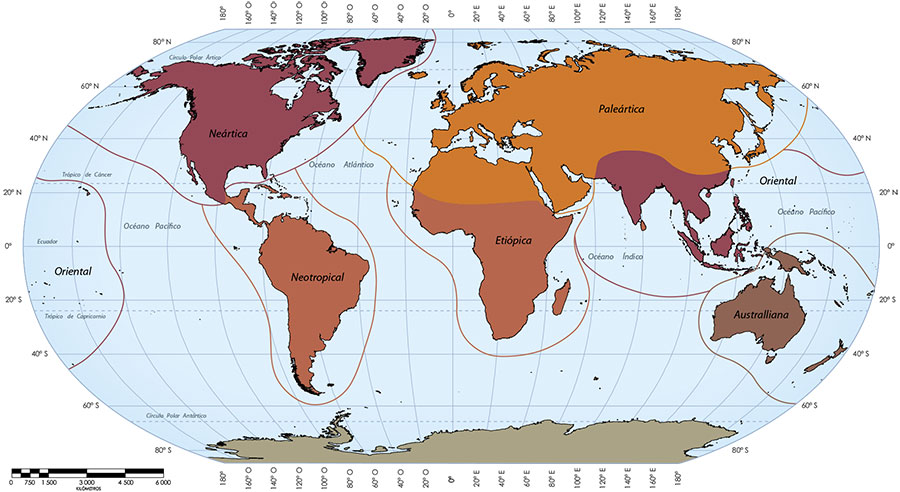Distribución de los recursos zoogeográficos.