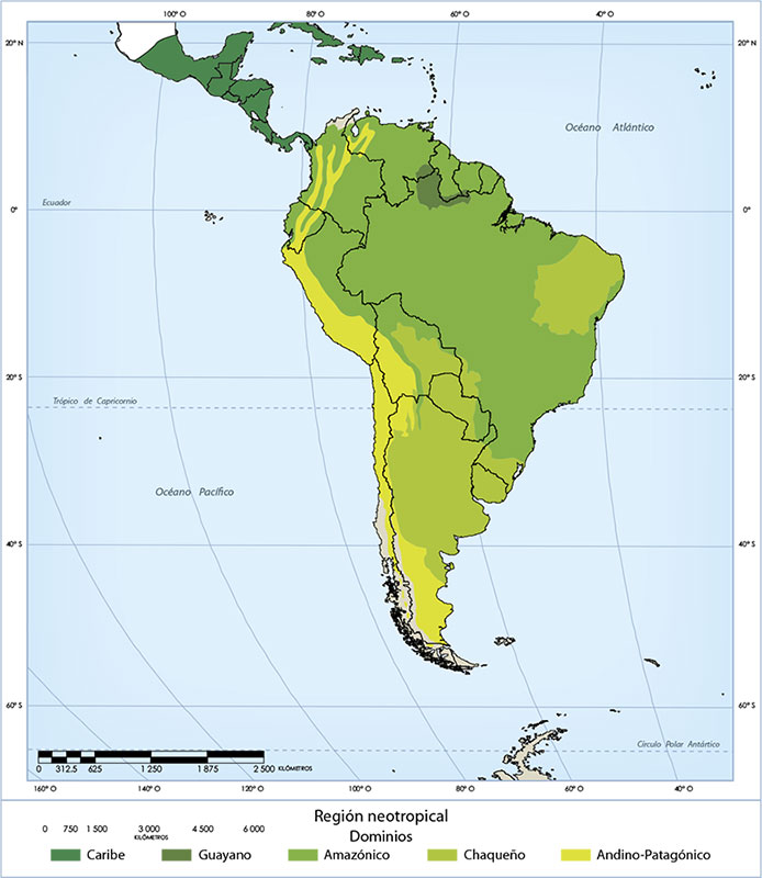 Dominios pertenecientes a la región Neotropical.