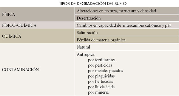 FUENTE: elaboración de José Hilario Maya Fernández.