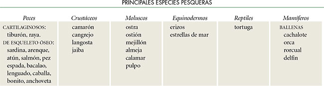 principales ramas de la geografía Humana