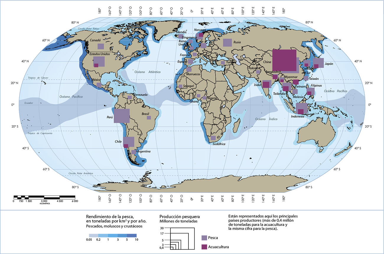 principales ramas de la geografía Humana