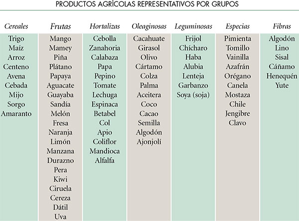 principales ramas de la geografía Humana