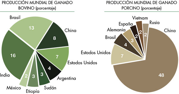 principales ramas de la geografía Humana