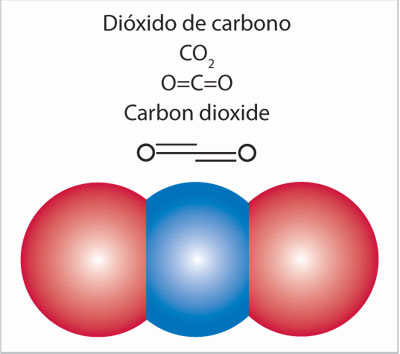 Representaciones del dióxido de carbono